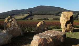 A rural landscape with large standing stones in the foreground, a field of red crops, and rolling hills under a clear blue sky.